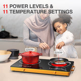 4400 W infrared cook top Portable Double Head
