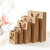 Kraft Paper Bags 48 , Gift Shopping Carry Craft Brown Bag with Handles (260 GSM) - AUPK