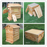 Wooden Beekeeping Beehive House +7PCS Upgraded Auto Honey Bee comb Hive Frame - AUPK