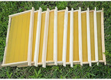 Wooden Beekeeping Beehive House +7PCS Upgraded Auto Honey Bee comb Hive Frame + 10 PCS Wooden frames - AUPK